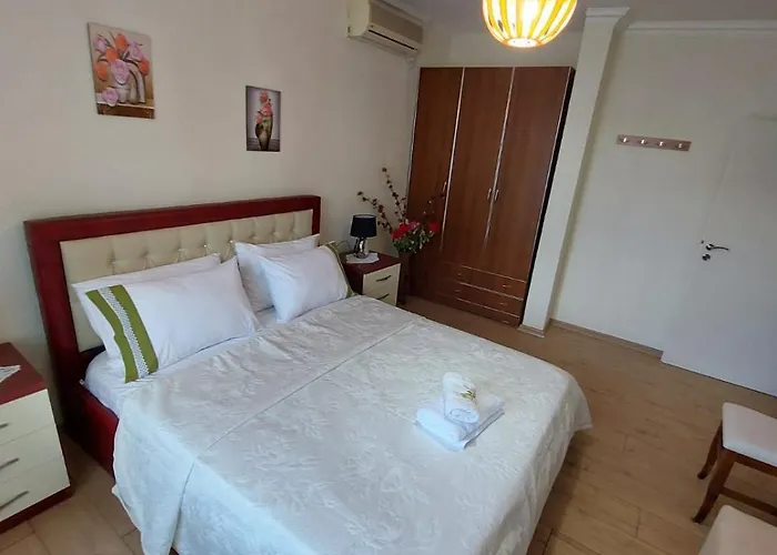 Shehu * Gjirokastër